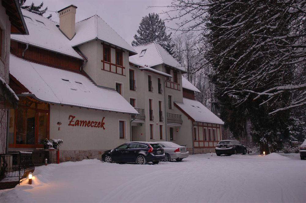 Hotel Willa Zameczek Bad Altheide Exterior foto